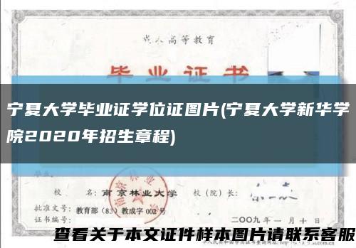 宁夏大学毕业证学位证图片(宁夏大学新华学院2020年招生章程)缩略图