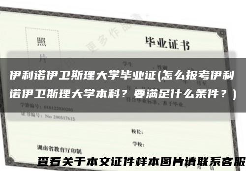 伊利诺伊卫斯理大学毕业证(怎么报考伊利诺伊卫斯理大学本科？要满足什么条件？)缩略图