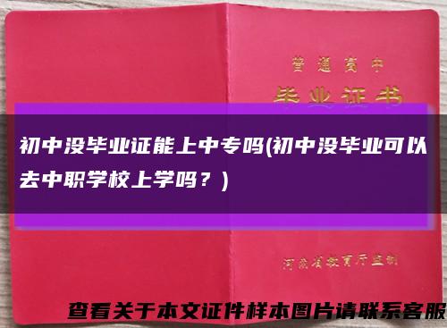 初中没毕业证能上中专吗(初中没毕业可以去中职学校上学吗？)缩略图