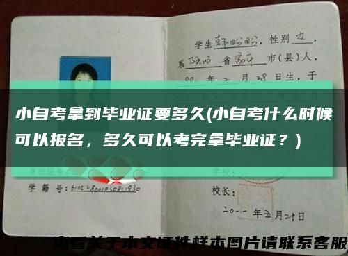 小自考拿到毕业证要多久(小自考什么时候可以报名，多久可以考完拿毕业证？)缩略图