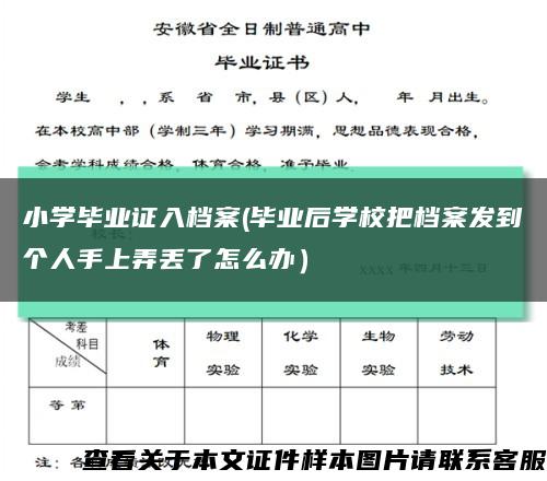 小学毕业证入档案(毕业后学校把档案发到个人手上弄丢了怎么办）缩略图