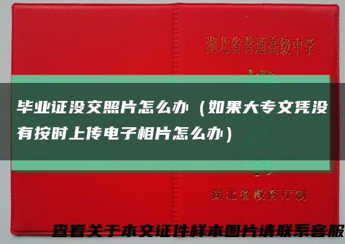 毕业证没交照片怎么办（如果大专文凭没有按时上传电子相片怎么办）缩略图