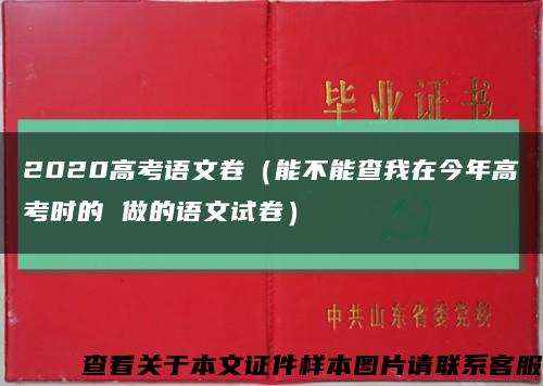 2020高考语文卷（能不能查我在今年高考时的 做的语文试卷）缩略图