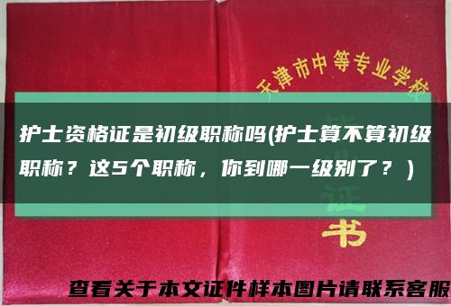 护士资格证是初级职称吗(护士算不算初级职称？这5个职称，你到哪一级别了？）缩略图