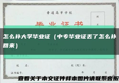 怎么补大学毕业证（中专毕业证丢了怎么补回来）缩略图