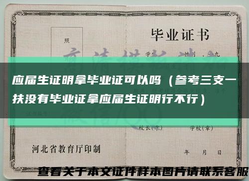 应届生证明拿毕业证可以吗（参考三支一扶没有毕业证拿应届生证明行不行）缩略图