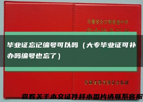 毕业证忘记编号可以吗（大专毕业证可补办吗编号也忘了）缩略图