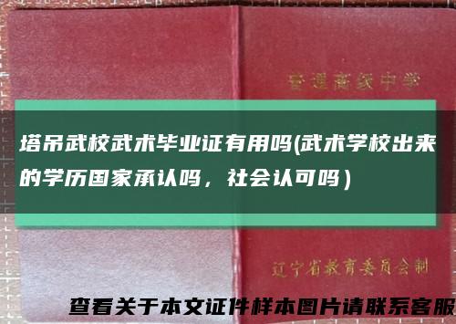 塔吊武校武术毕业证有用吗(武术学校出来的学历国家承认吗，社会认可吗）缩略图