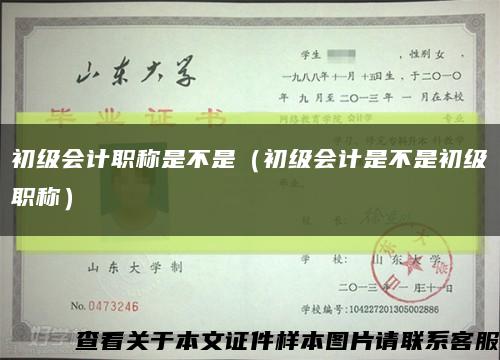 初级会计职称是不是（初级会计是不是初级职称）缩略图