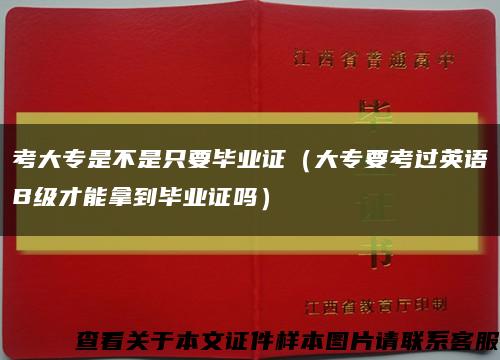 考大专是不是只要毕业证（大专要考过英语B级才能拿到毕业证吗）缩略图