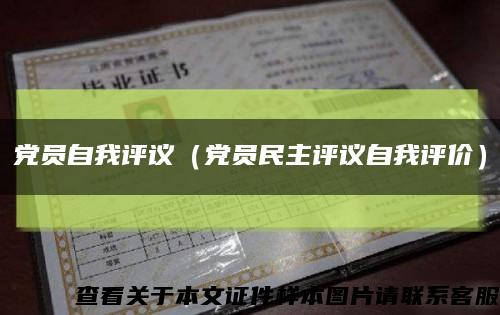 党员自我评议（党员民主评议自我评价）缩略图