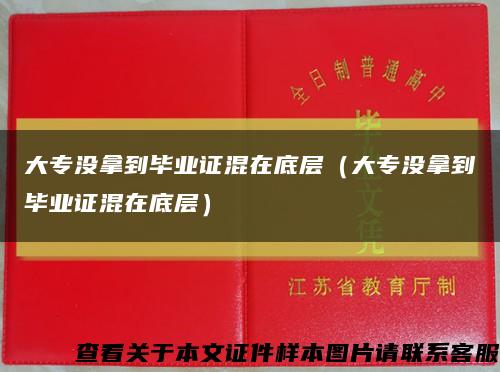 大专没拿到毕业证混在底层（大专没拿到毕业证混在底层）缩略图