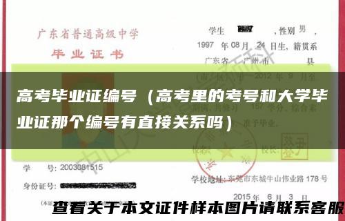 高考毕业证编号（高考里的考号和大学毕业证那个编号有直接关系吗）缩略图