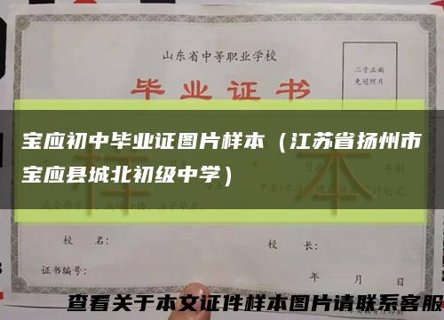 宝应初中毕业证图片样本（江苏省扬州市宝应县城北初级中学）缩略图