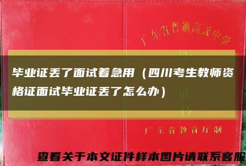 毕业证丢了面试着急用（四川考生教师资格证面试毕业证丢了怎么办）缩略图