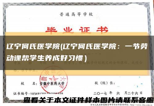 辽宁何氏医学院(辽宁何氏医学院：一节劳动课帮学生养成好习惯）缩略图