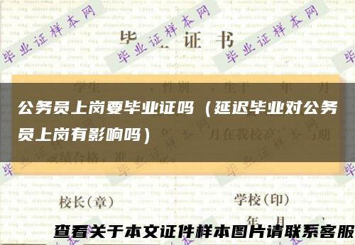 公务员上岗要毕业证吗（延迟毕业对公务员上岗有影响吗）缩略图