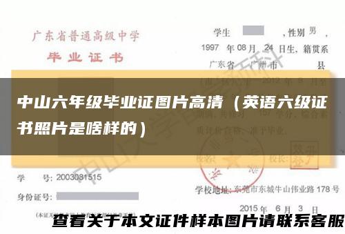 中山六年级毕业证图片高清（英语六级证书照片是啥样的）缩略图