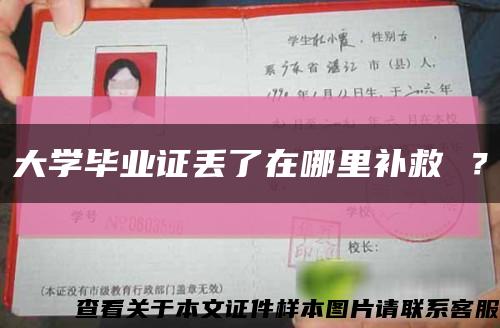 大学毕业证丢了在哪里补救 ？缩略图