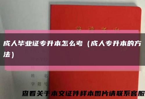 成人毕业证专升本怎么考（成人专升本的方法）缩略图