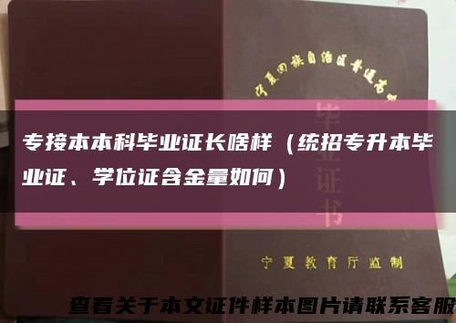 专接本本科毕业证长啥样（统招专升本毕业证、学位证含金量如何）缩略图