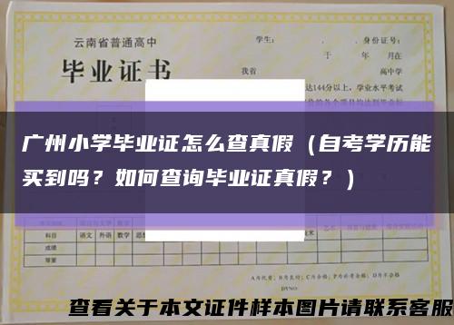 广州小学毕业证怎么查真假（自考学历能买到吗？如何查询毕业证真假？）缩略图