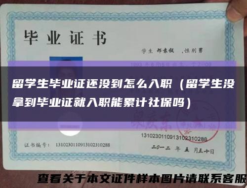 留学生毕业证还没到怎么入职（留学生没拿到毕业证就入职能累计社保吗）缩略图