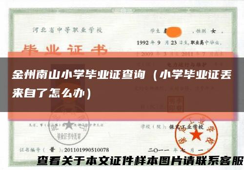 金州南山小学毕业证查询（小学毕业证丢来自了怎么办）缩略图