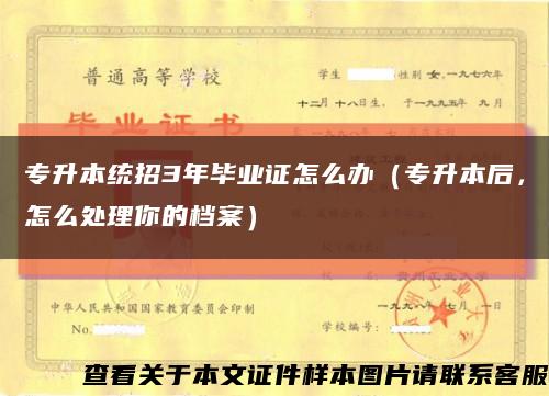 专升本统招3年毕业证怎么办（专升本后，怎么处理你的档案）缩略图