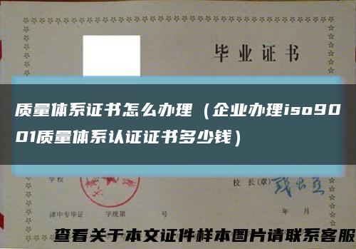 质量体系证书怎么办理（企业办理iso9001质量体系认证证书多少钱）缩略图