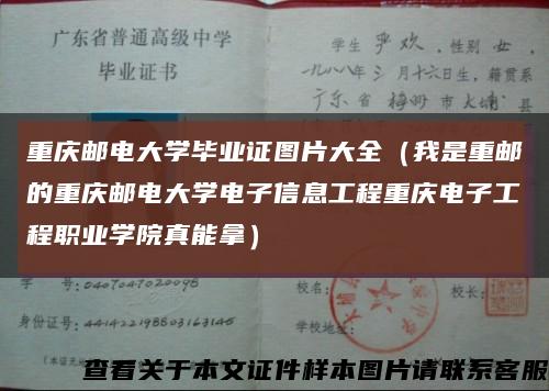 重庆邮电大学毕业证图片大全（我是重邮的重庆邮电大学电子信息工程重庆电子工程职业学院真能拿）缩略图