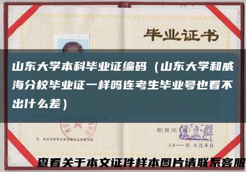 山东大学本科毕业证编码（山东大学和威海分校毕业证一样吗连考生毕业号也看不出什么差）缩略图