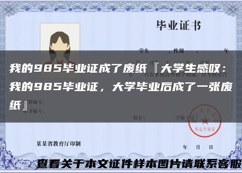 我的985毕业证成了废纸『大学生感叹：我的985毕业证，大学毕业后成了一张废纸』缩略图