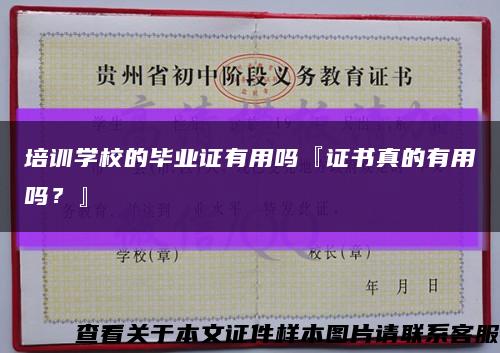 培训学校的毕业证有用吗『证书真的有用吗？』缩略图