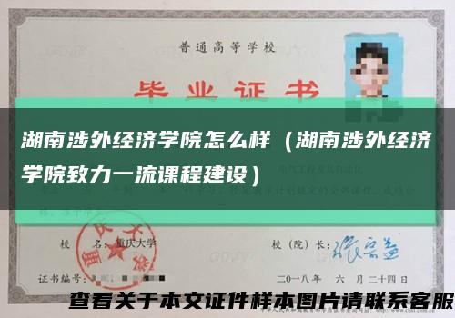 湖南涉外经济学院怎么样（湖南涉外经济学院致力一流课程建设）缩略图