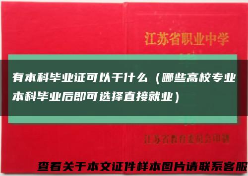 有本科毕业证可以干什么（哪些高校专业本科毕业后即可选择直接就业）缩略图