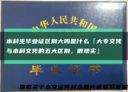 本科生毕业证区别大吗是什么『大专文凭与本科文凭的五大区别，很现实』缩略图