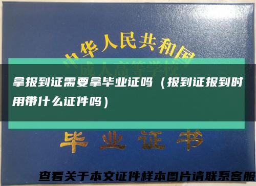 拿报到证需要拿毕业证吗（报到证报到时用带什么证件吗）缩略图