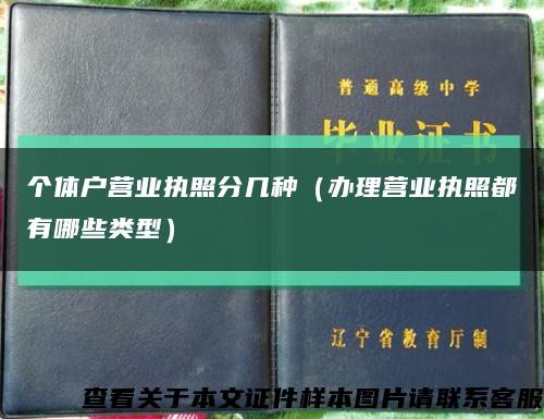 个体户营业执照分几种（办理营业执照都有哪些类型）缩略图