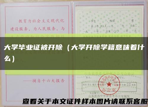 大学毕业证被开除（大学开除学籍意味着什么）缩略图