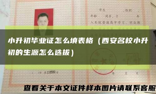 小升初毕业证怎么填表格（西安名校小升初的生源怎么选拔）缩略图