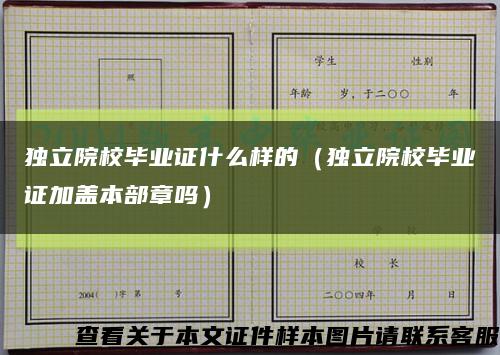 独立院校毕业证什么样的（独立院校毕业证加盖本部章吗）缩略图