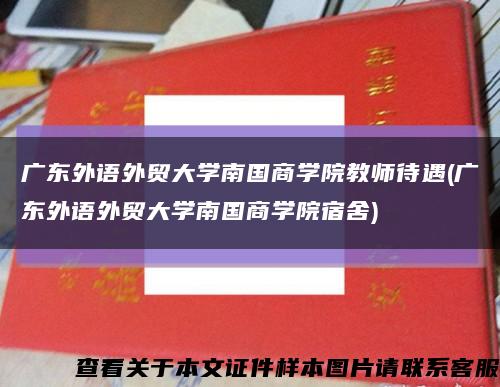 广东外语外贸大学南国商学院教师待遇(广东外语外贸大学南国商学院宿舍)缩略图