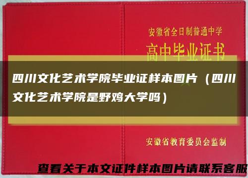 四川文化艺术学院毕业证样本图片（四川文化艺术学院是野鸡大学吗）缩略图