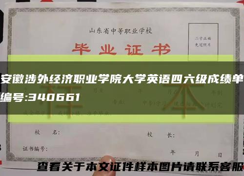 安徽涉外经济职业学院大学英语四六级成绩单编号:340661缩略图