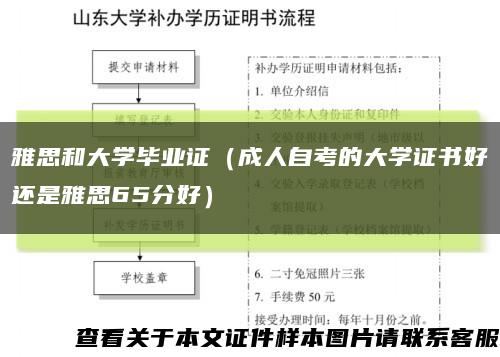 雅思和大学毕业证（成人自考的大学证书好还是雅思65分好）缩略图