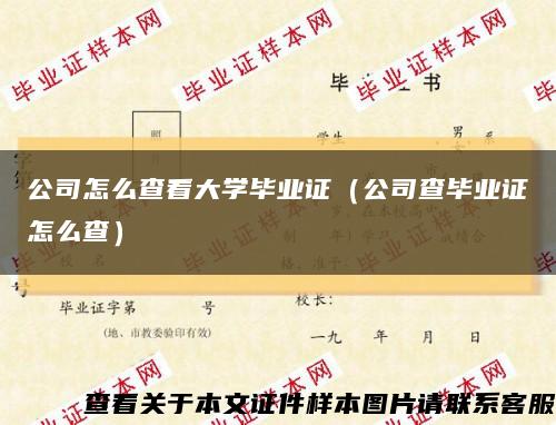 公司怎么查看大学毕业证（公司查毕业证怎么查）缩略图