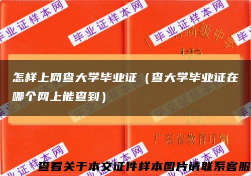 怎样上网查大学毕业证（查大学毕业证在哪个网上能查到）缩略图