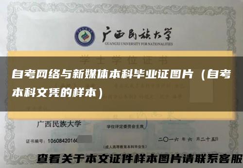 自考网络与新媒体本科毕业证图片（自考本科文凭的样本）缩略图