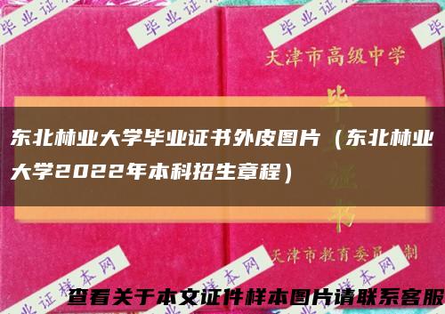 东北林业大学毕业证书外皮图片（东北林业大学2022年本科招生章程）缩略图